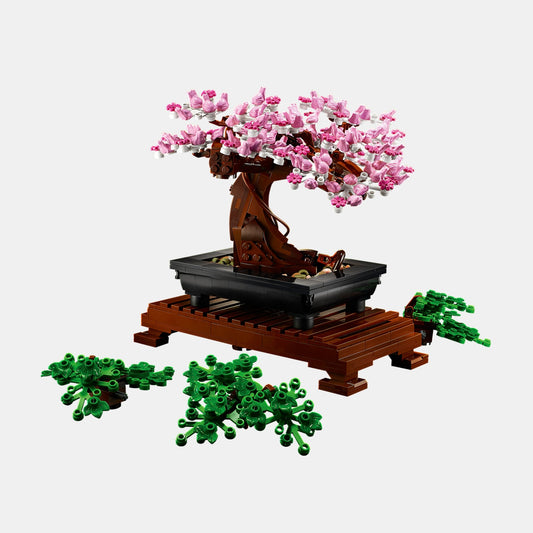 Bonsai Tree Display